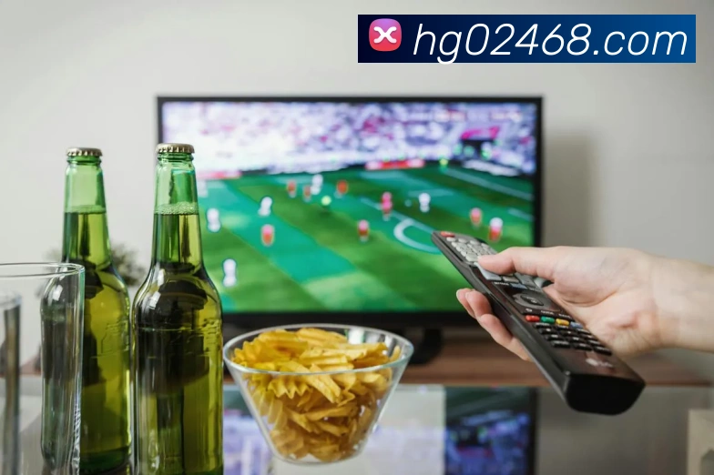 App Interface Preview